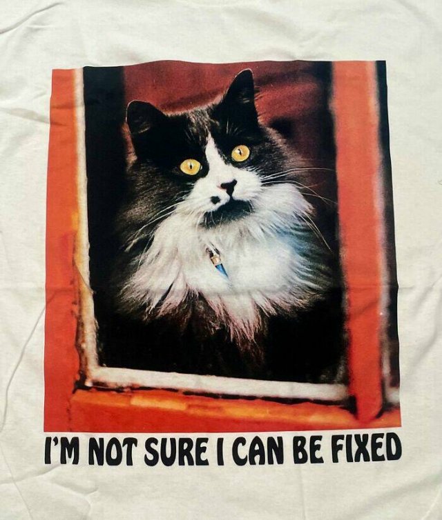 Funny Signs On T-Shirts (26 pics)