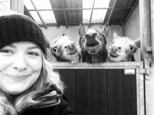 Funny Animals (61 pics)