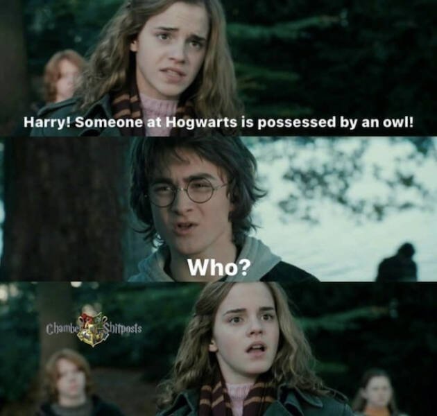 ''Harry Potter'' Memes (17 pics)