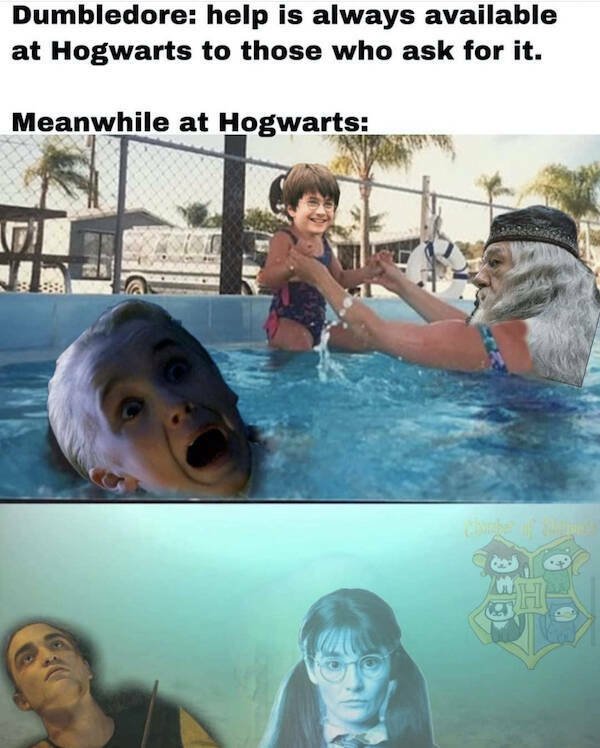 ''Harry Potter'' Memes (17 pics)