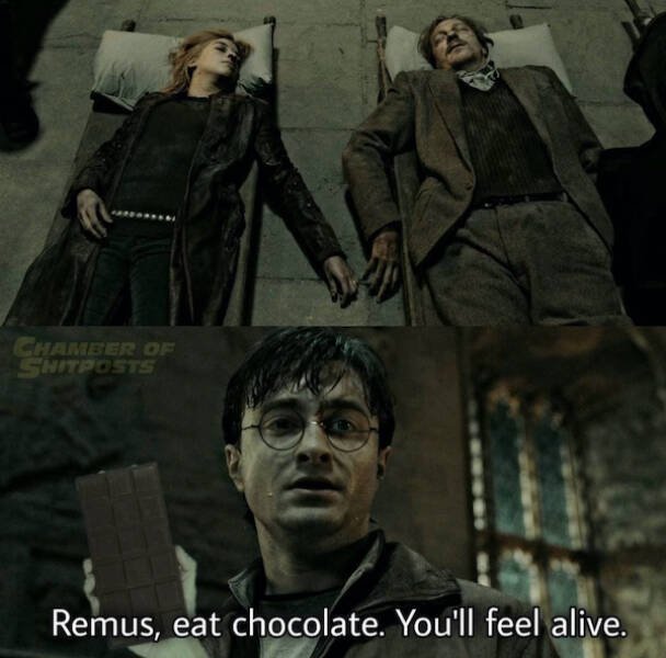 Harry Potter Memes 17 Pics