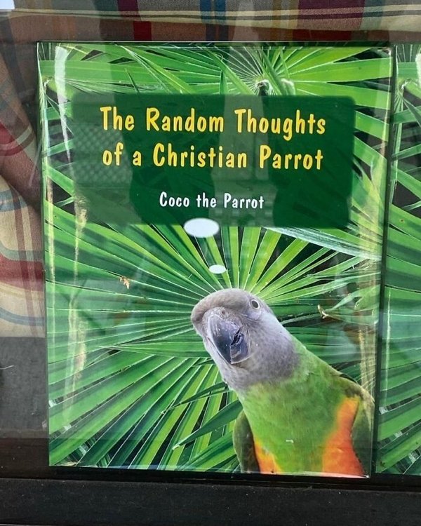 Weird Finds In Thrift Shops (30 pics)