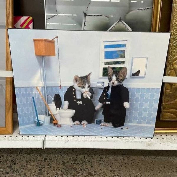 Weird Finds In Thrift Shops (30 pics)