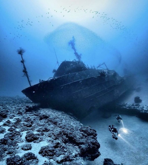 Creepy Finds In The Ocean (30 pics)