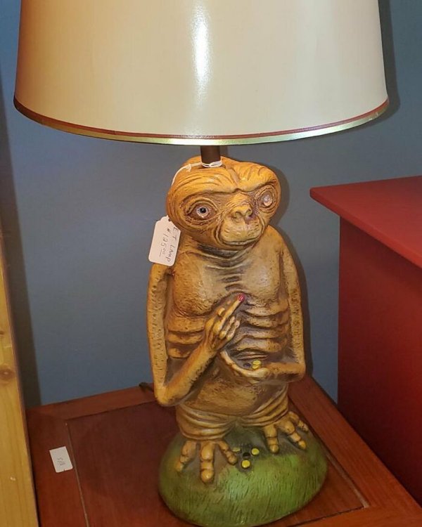 Weird Finds In Thrift Shops (30 pics)