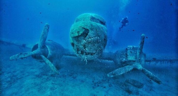 Creepy Finds In The Ocean (30 pics)