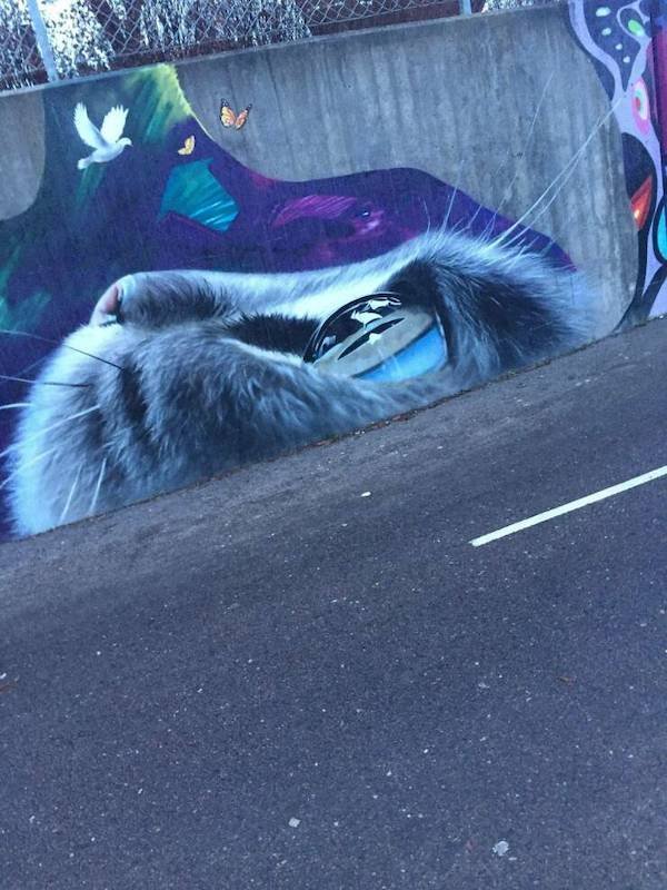 Insane Graffiti (33 pics)