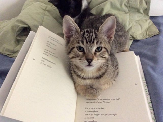 They Don't Care About Personal Space (22 pics)