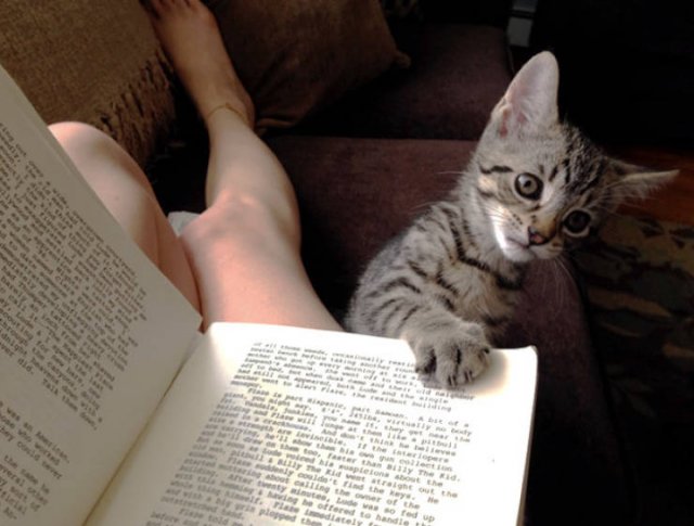They Don't Care About Personal Space (22 pics)