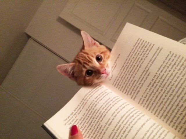 They Don't Care About Personal Space (22 pics)