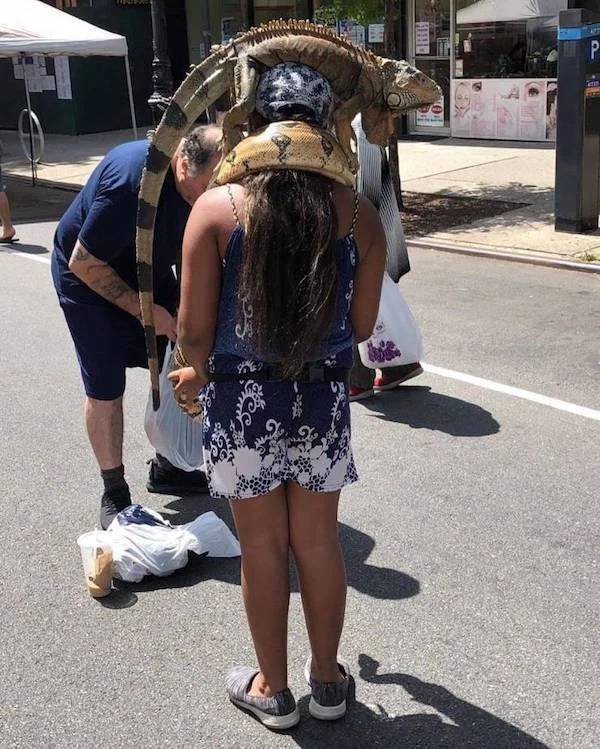 Scare Finds (32 pics)