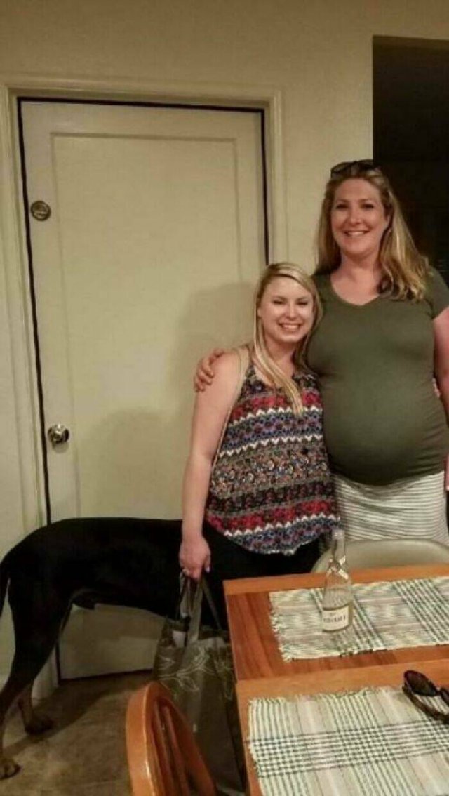 Look Twice (26 pics)