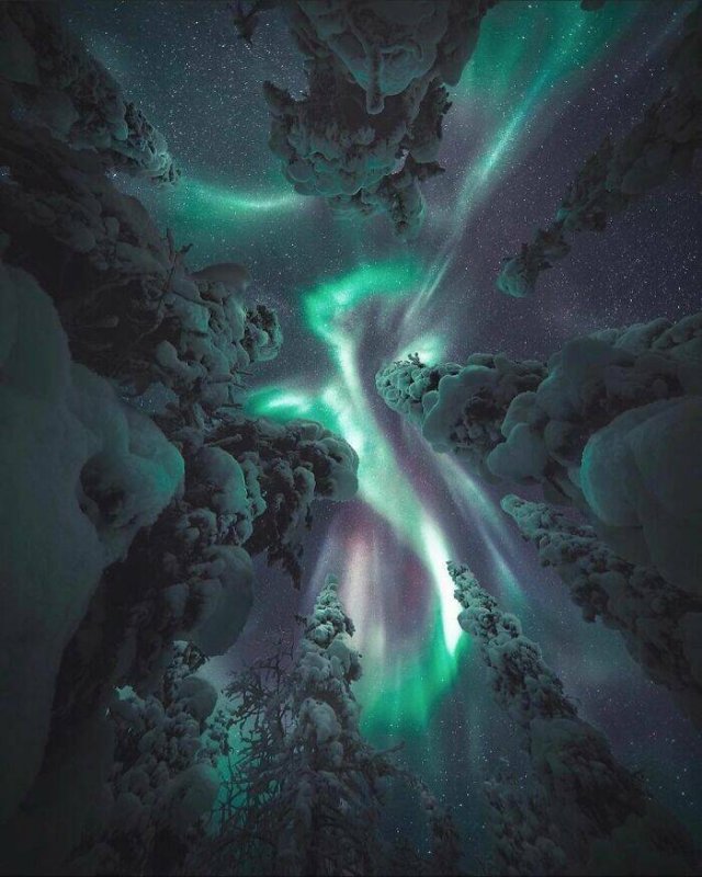 Cool Finds From Around The World (15 pics)