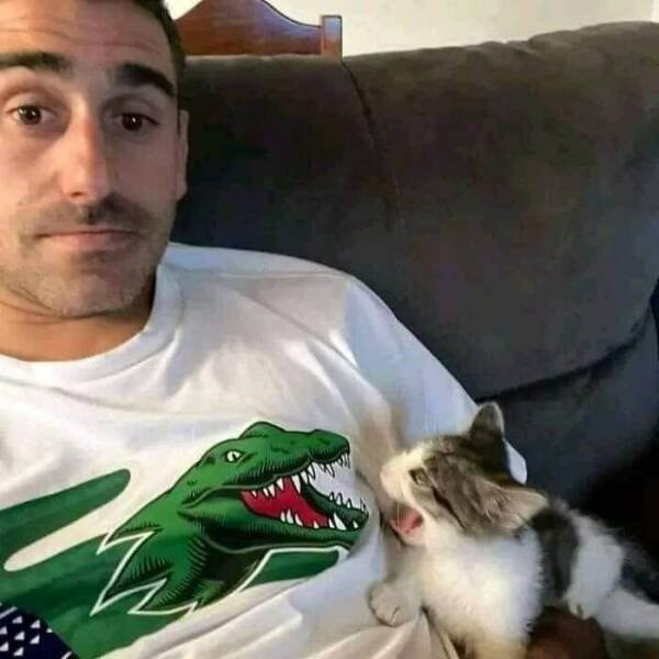 Memes With Cats (25 pics)