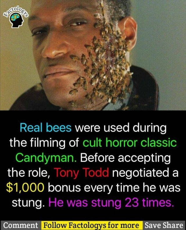 Fascinating Facts (27 pics)