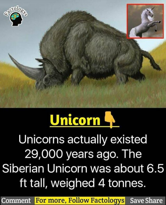 Fascinating Facts (27 pics)