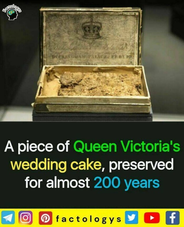 Fascinating Facts (27 pics)