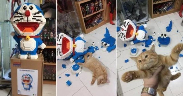 Funny Animals (52 pics)