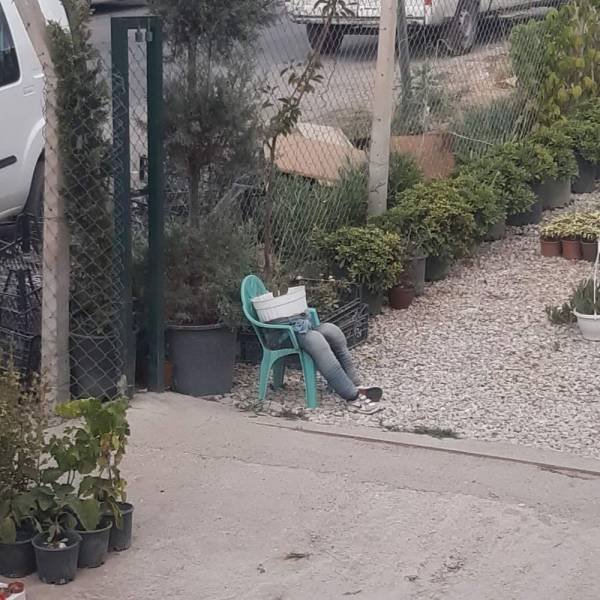 What Is Going On Here (50 pics)