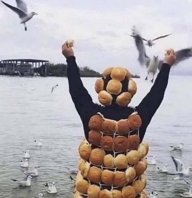 What Is Going On Here (50 pics)
