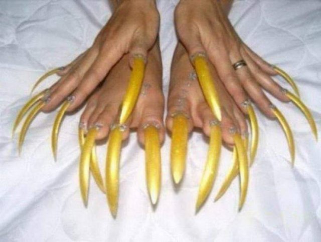 What Is Going On Here (50 pics)