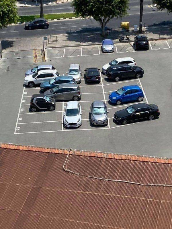 What Is Going On Here (50 pics)