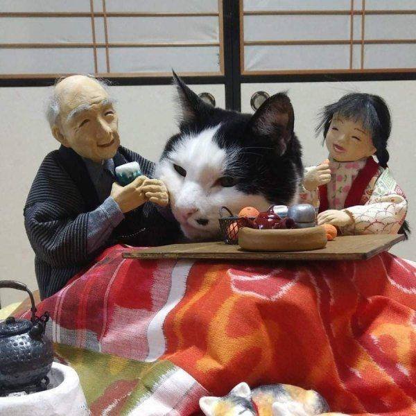 What Is Going On Here (50 pics)