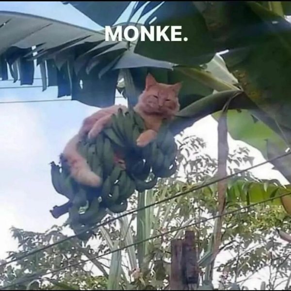 Unexpected Encounters (33 pics)