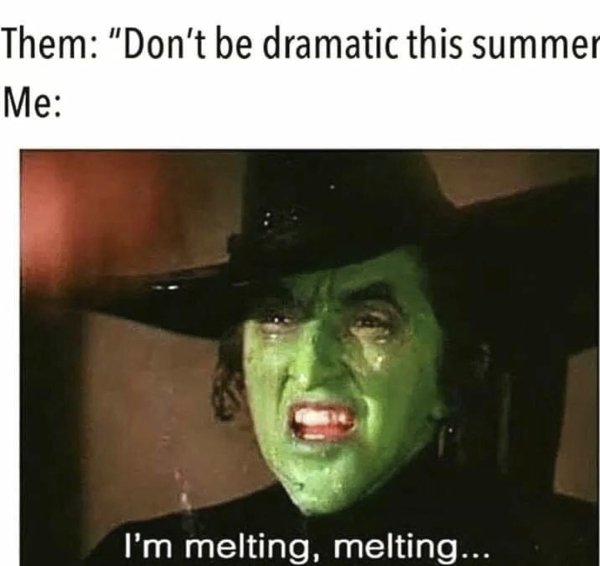 Summer Memes (25 pics)