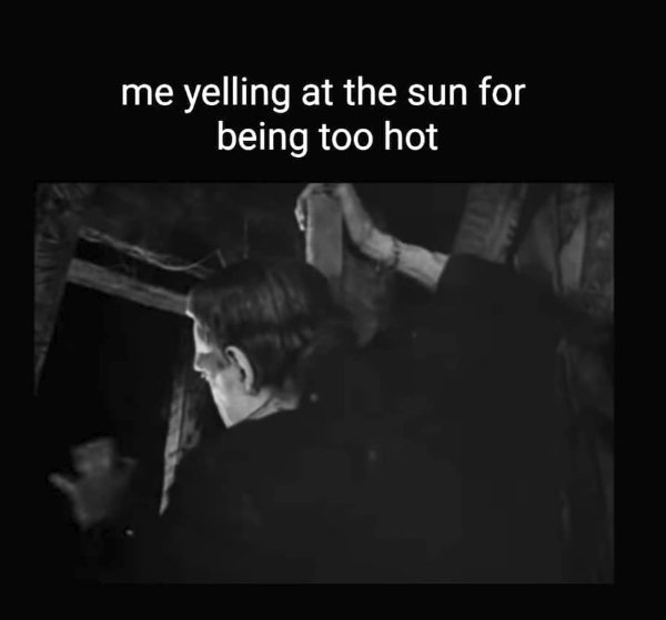 Summer Memes (25 pics)
