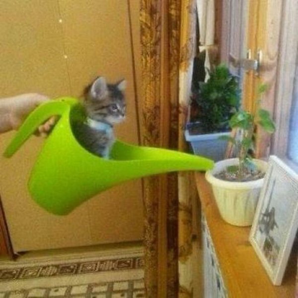 Unexpected Encounters (33 pics)