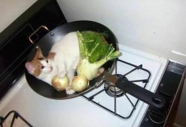 Unexpected Encounters (33 pics)
