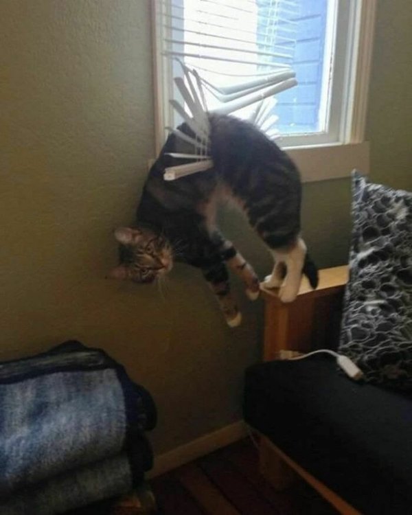 Unexpected Encounters (33 pics)