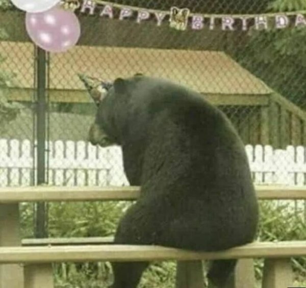 Unexpected Encounters (33 pics)