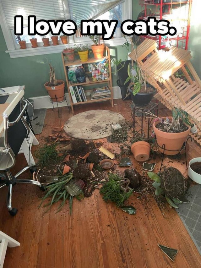 Bad Days Happen (25 pics)