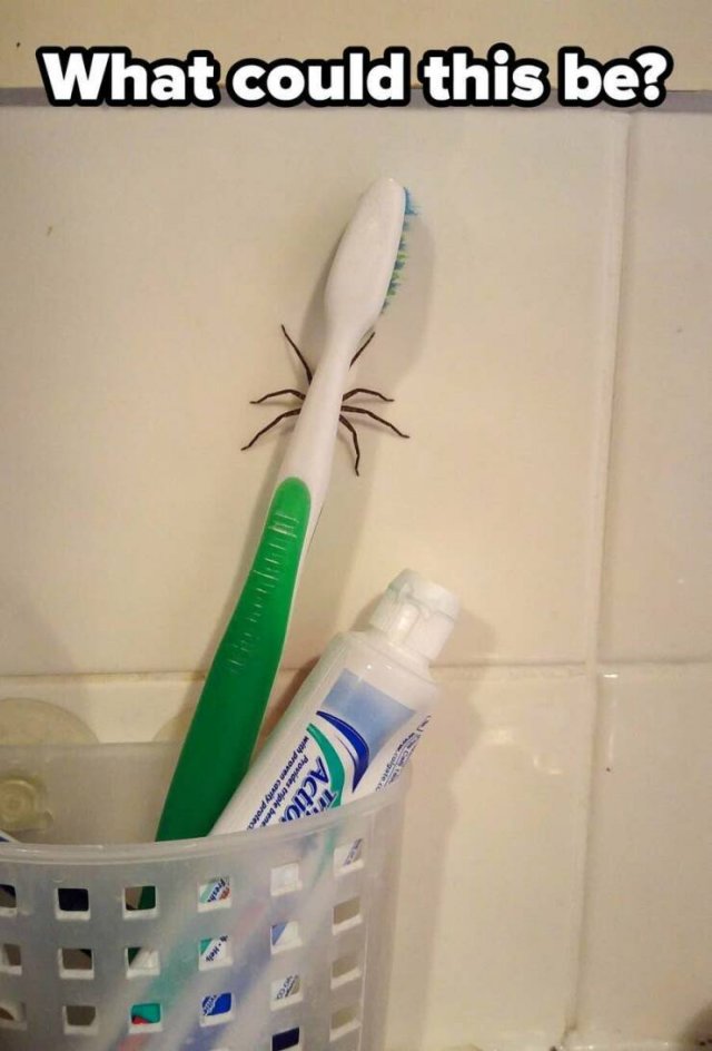 Bad Days Happen (25 pics)