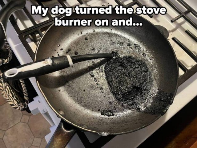 Bad Days Happen (25 pics)