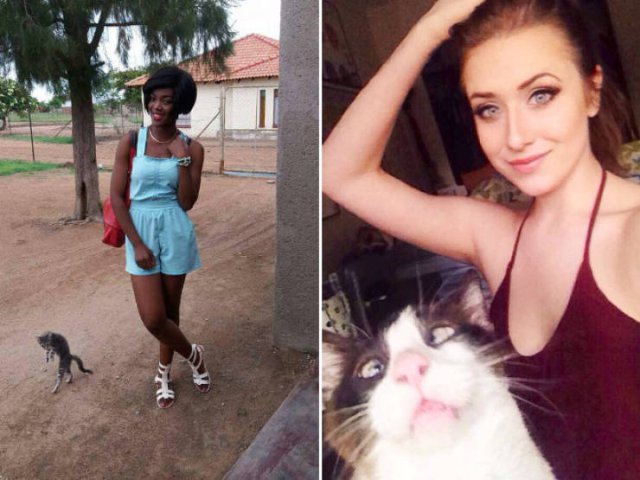 Funny Cats (20 pics)
