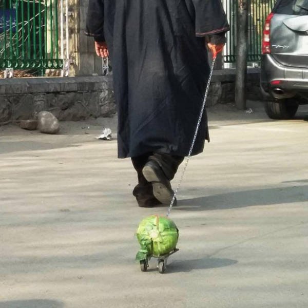 Strange People (22 pics)