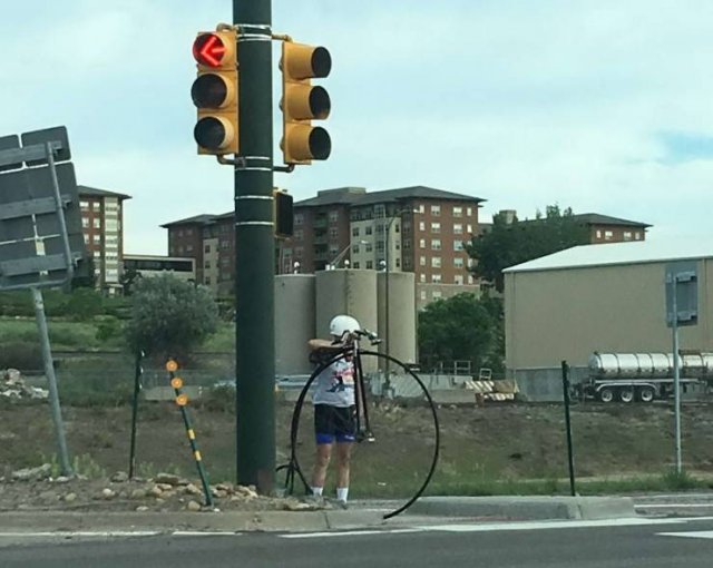 What Is Going On Here? (57 pics)