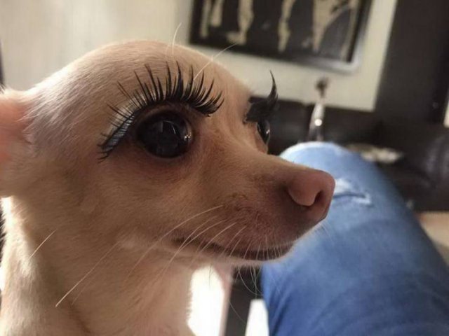 What Is Going On Here? (57 pics)