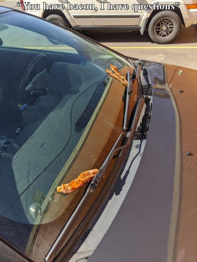 What Is Going On Here? (57 pics)