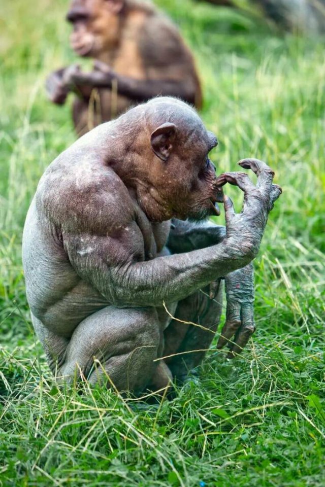 Fascinating Finds From Around The World (26 pics)