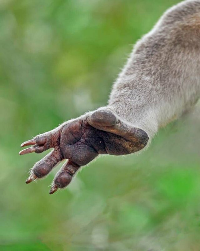 Fascinating Finds From Around The World (26 pics)