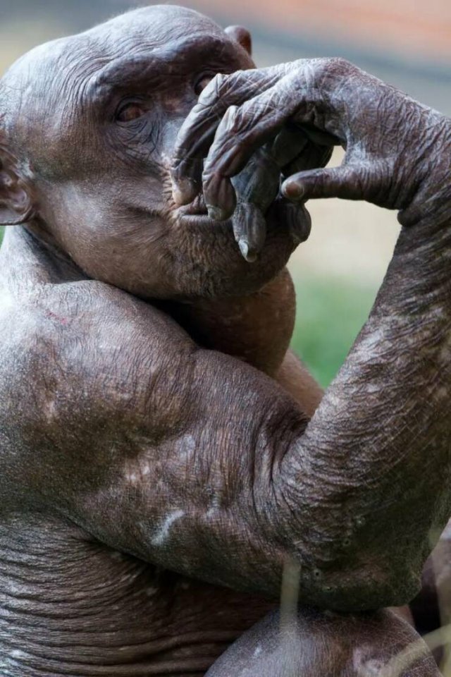 Fascinating Finds From Around The World (26 pics)