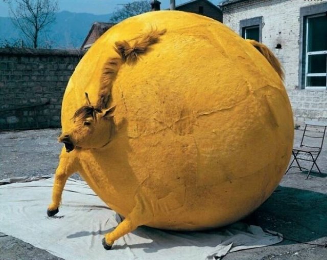 Creepy Photos And Finds (23 pics)