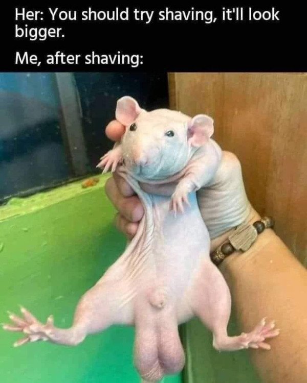 Male Memes (23 pics)