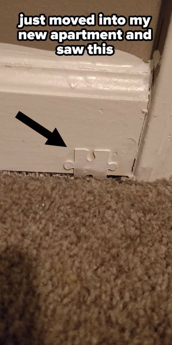 Weird Landlords (25 pics)