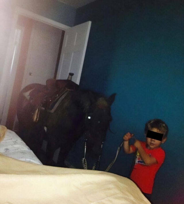 What Is Going On Here? (29 pics)