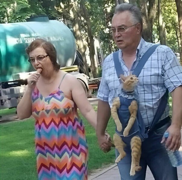 What Is Going On Here? (29 pics)